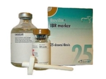 В.Бовилис IBR marker+раств. 25доз+50мл